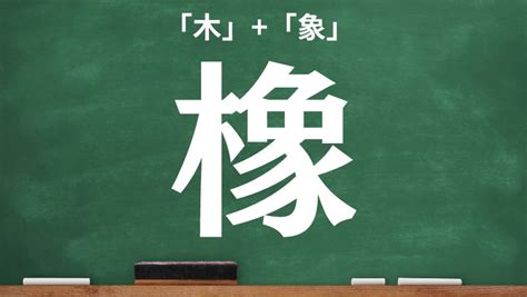 木 象|木へんに象で「橡」は何て読む？